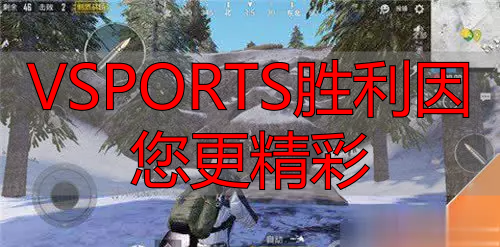 VSPORTS胜利因您更精彩